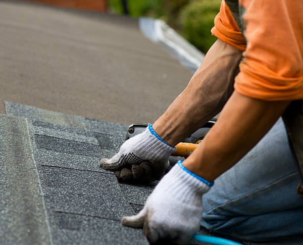 Best Commercial Roofing Services  in Palo, IA