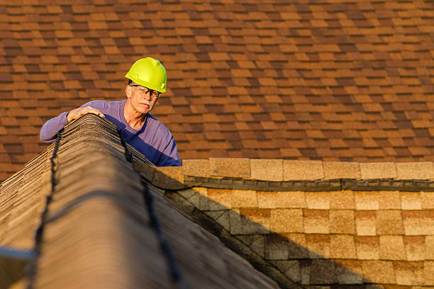 Professional Roofing Contractor in Palo, IA